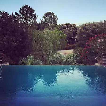 וילה Les Villas De L'olivier סנט-לוסידה פורטו-וקיו